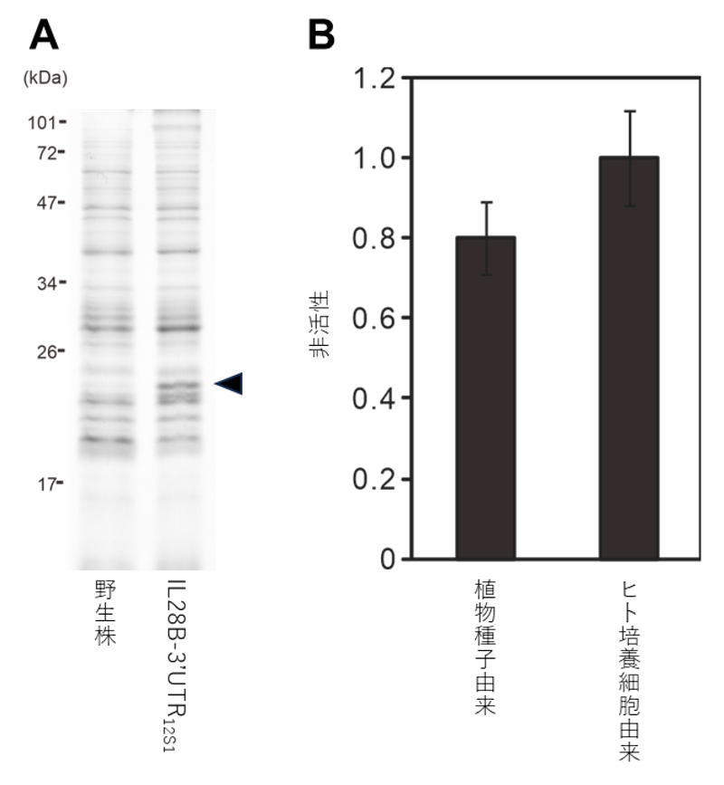 fig3.jpg