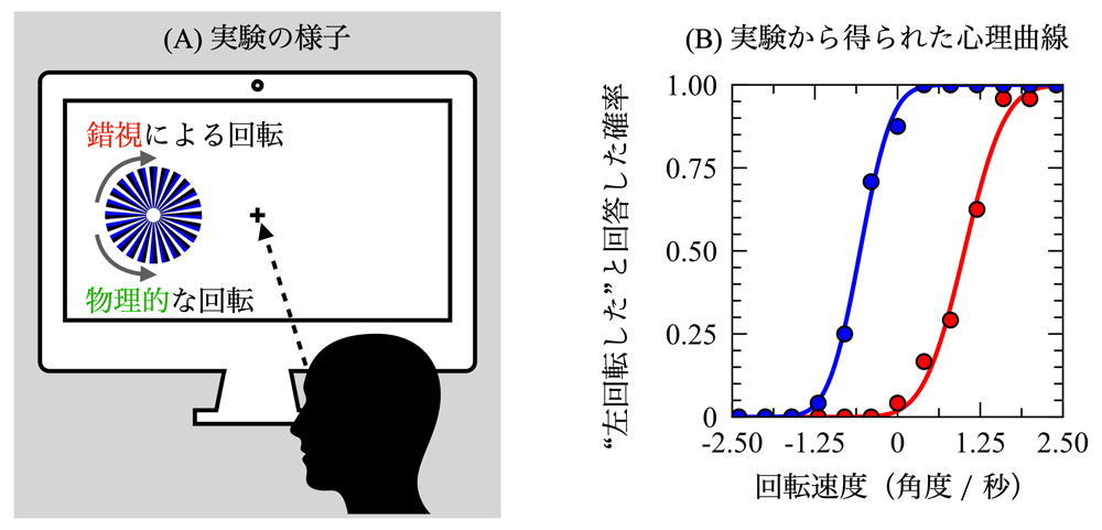 fig3.jpg