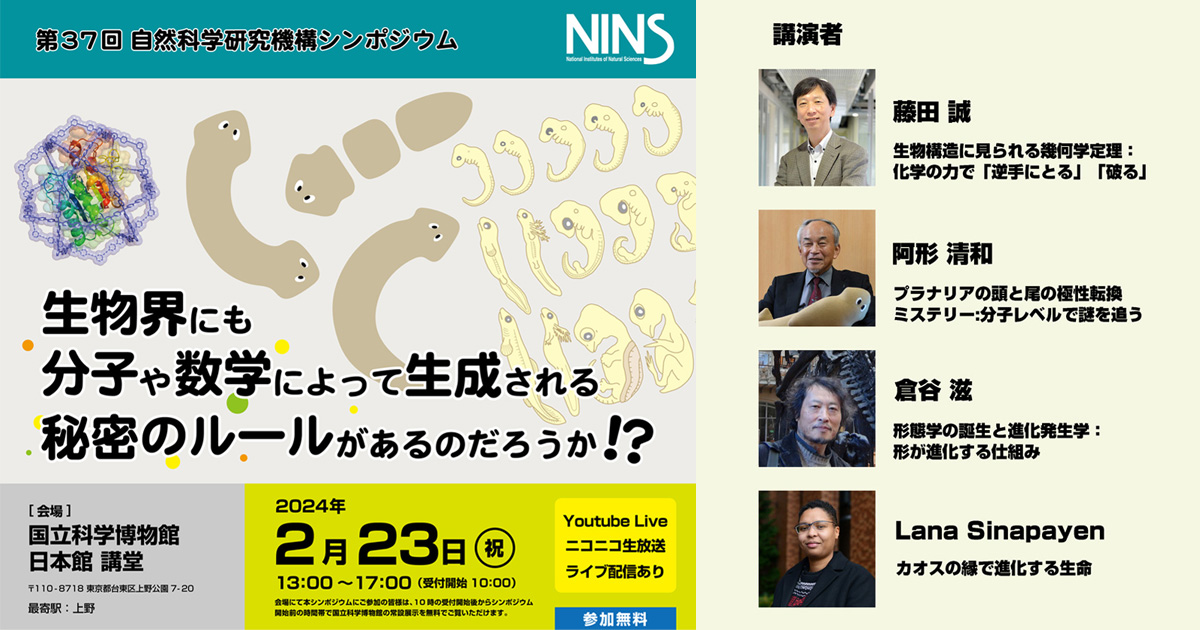 NINS-37th-banner-sns.jpg
