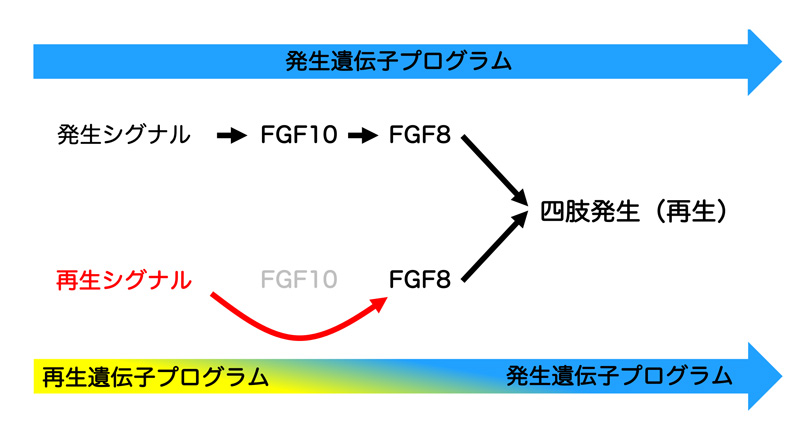fig2.jpg