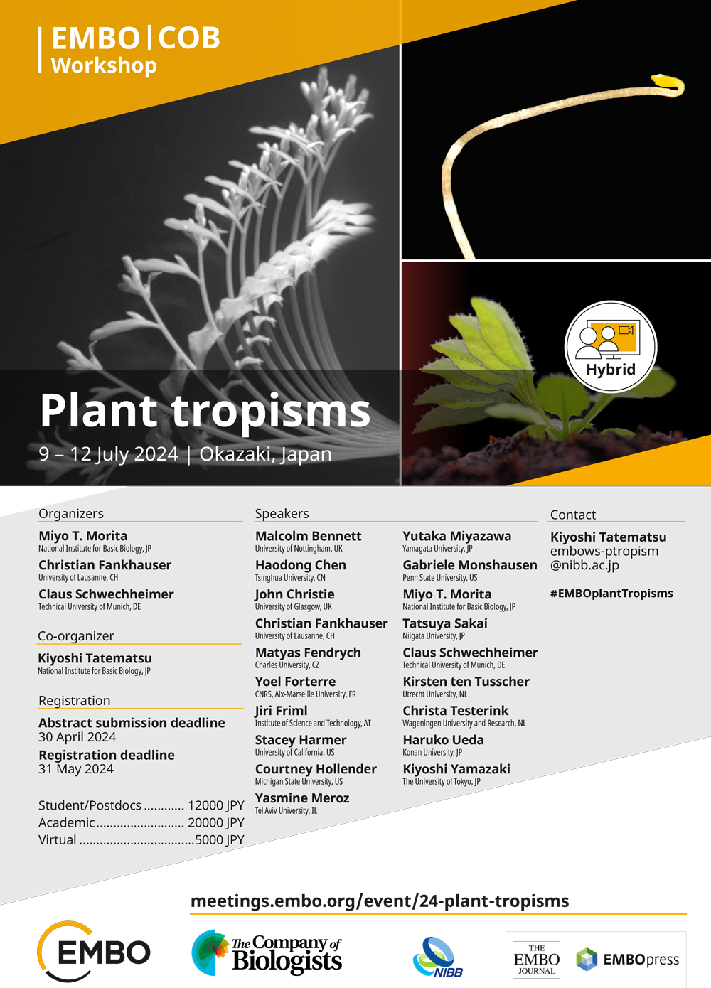 24-plant-tropisms.jpg