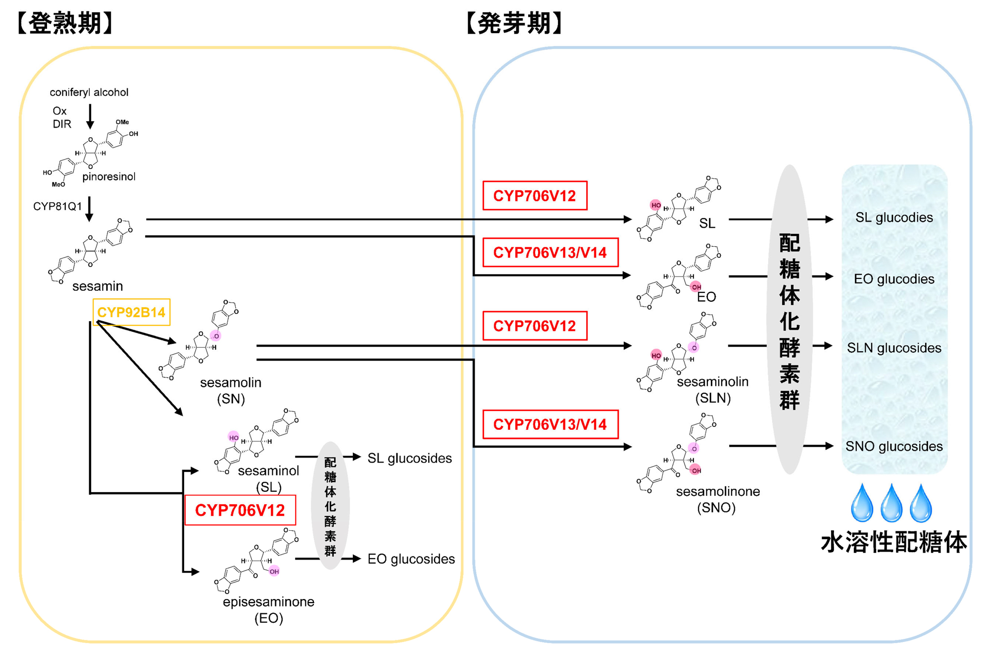 fig2.jpg