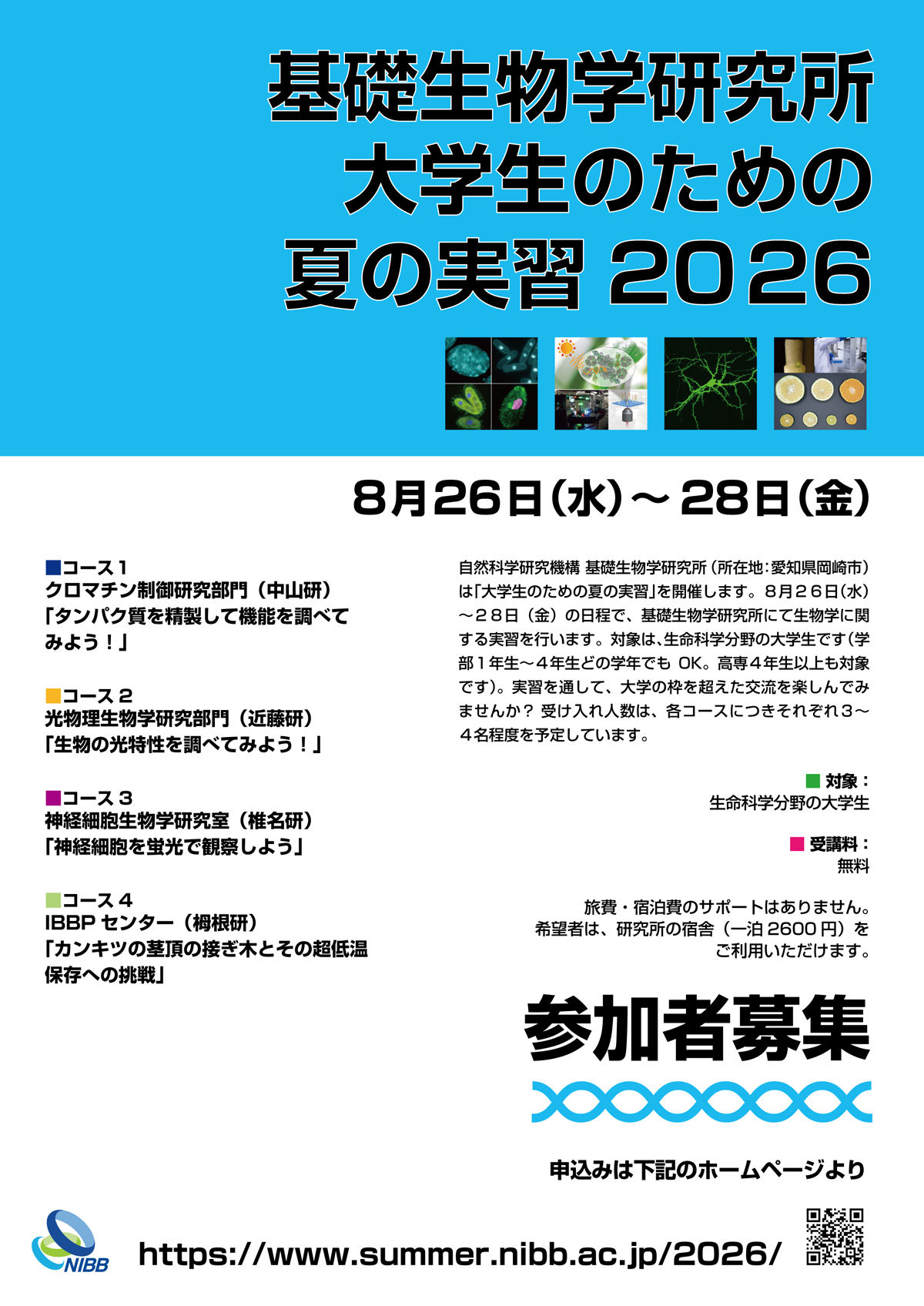 NIBB_summer2026.jpg