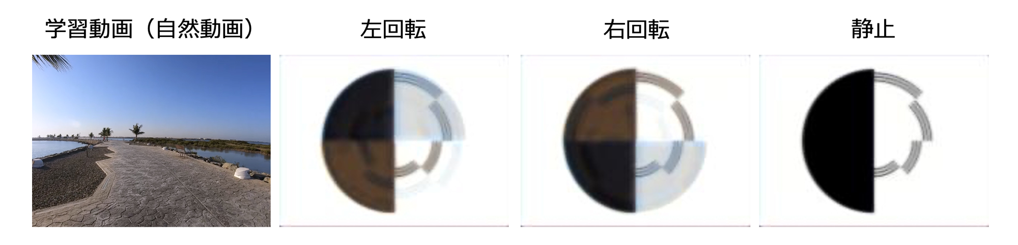 fig3.jpg