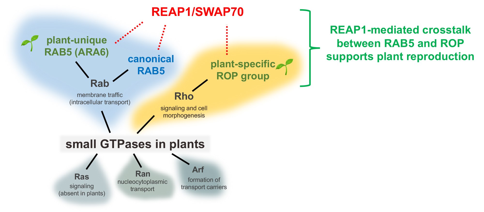 efig1.jpg
