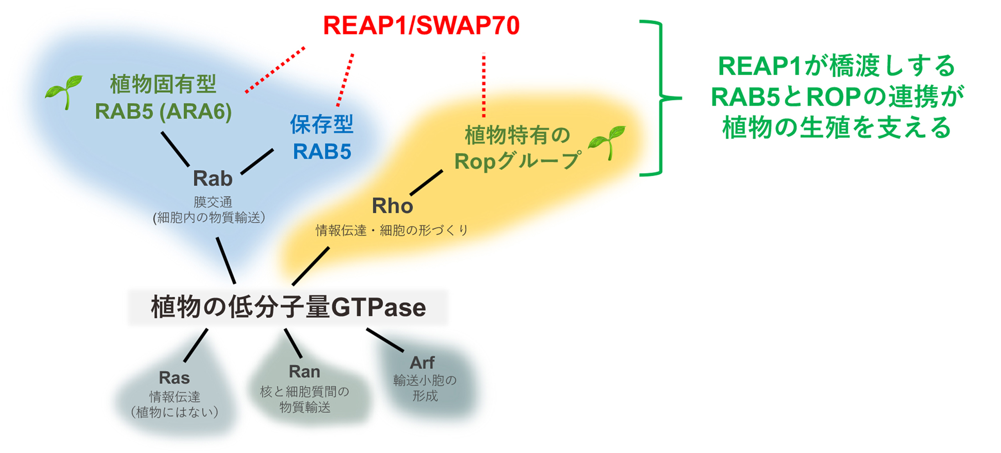 fig1.jpg