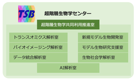 tsb_organization.jpg
