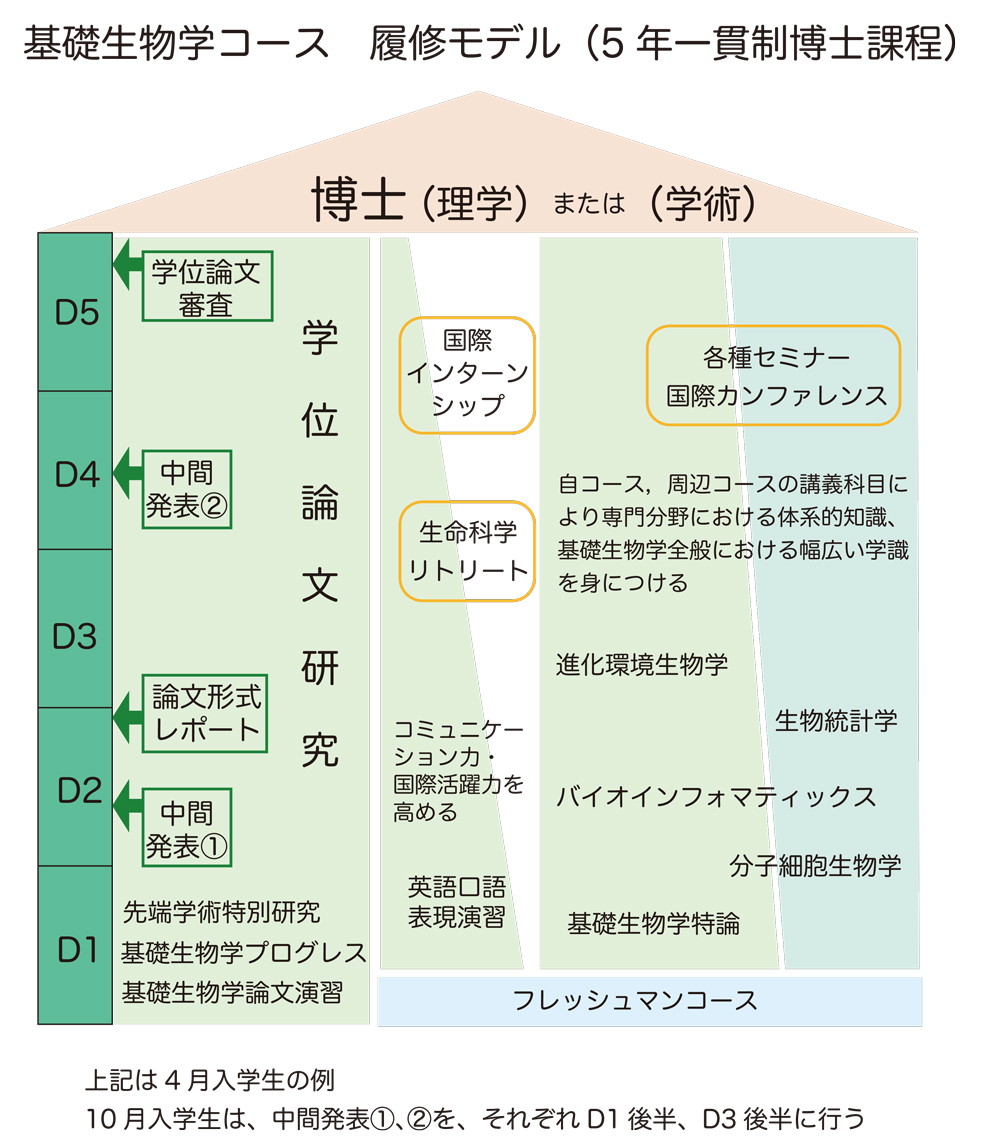 course_model5.jpg