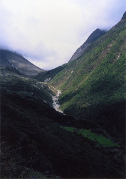 langtang1.jpg