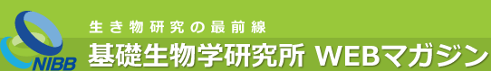生き物研究の再前線　基礎生物学研究所 WEBマガジン