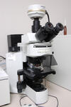 正立顕微鏡１